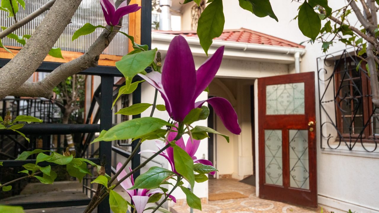 Entrada de la residencia: la puerta de madera abierta, vista entre las flores de una magnolia.
